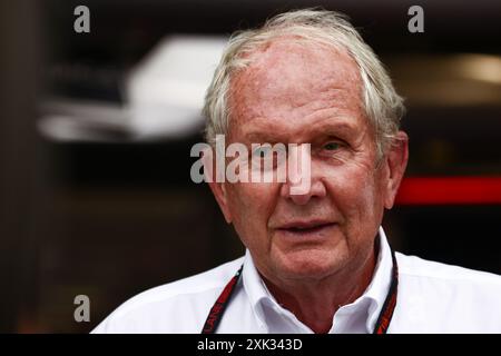 Budapest, Hungary. 20th July, 2024. Helmut Marko ahead of the F1 Grand Prix of Hungary at Hungaroring on July 20, 2024 in Budapest, Hungary. (Credit Image: © Beata Zawrzel/ZUMA Press Wire) EDITORIAL USAGE ONLY! Not for Commercial USAGE! Stock Photo