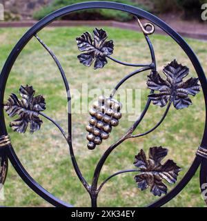 Decorative decoration of a metal fence with forged elements. Bunch of grapes in a circle. Stock Photo