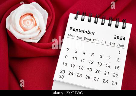 September 2024 desk calendar and pink rose on red textile background. Stock Photo