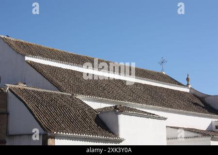 The roofs of the Igreja matriz de Sao Pedro or Church of St Peter in Faro, Portugal Stock Photo