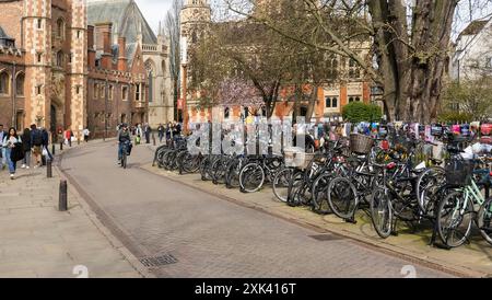 Parked bicycles on Trinity Street, Cambridge, Cambridgeshire, England, UK Stock Photo
