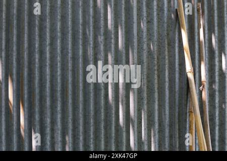 Bamboo garden canes leaning on corrugated aluminium shed wall Stock Photo
