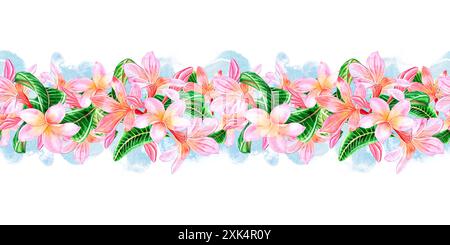 Tropical pink plumeria flowers with leaves.Seamless border pattern isolated on white background. Hand drawn watercolor illustration. For design, invit Stock Photo