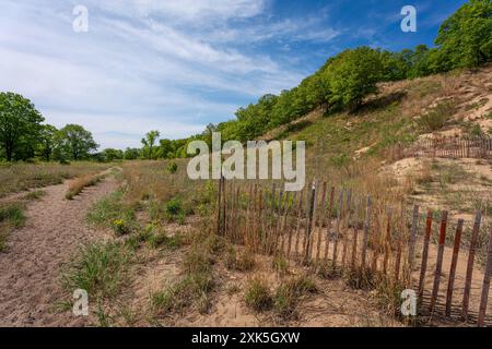 Indiana Dunes National Park with wooden fence, hills and trees in summer Stock Photo