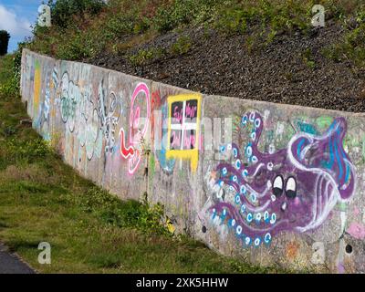 Grafitti on a wall outide Newly, Cornwall, UK including second home protest on a Cornish flag Stock Photo