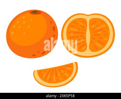 Fresh tasty set of oranges. Whole, halved and slice of ripe tropical orange fruit. Citrus with peel and segmented flesh inside. Vector illustration is Stock Vector