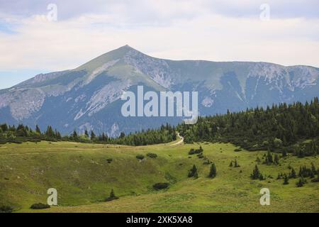 A summer view of hiking paths meandering through the meadows on the Rax plateau, dotted with pine trees. In the background, the Schneeberg rises majes Stock Photo