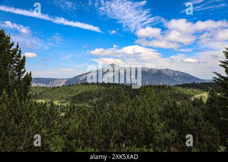 A summer view from the Rax plateau, featuring expansive forests in the foreground stretching towards the distant peak of Schneeberg mountain. This pic Stock Photo