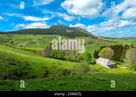 Lush Green Landscape of Mont Mezenc in in the Monts d'Ardeche Regional Natural Park, Auvergne-Rhone-Alpes, France Stock Photo