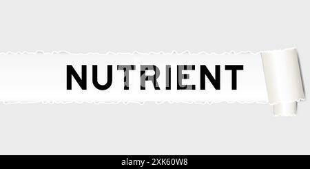 Ripped gray paper background that have word nutrient under torn part Stock Vector