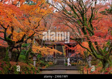 Vibrant red autumn foliage in Eikan-do Zenrin-ji temple, Kyoto, Japan. Stock Photo