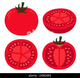 Hand drawn cartoon tomato set. Whole vegetable and cross section cut. Isolated vector clip art illustration. Stock Vector