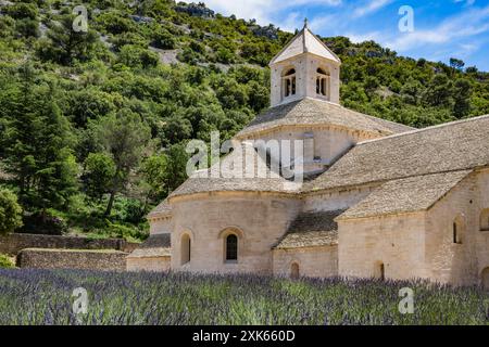 Notre-Dame de Senanque abbey, near the village of Gordes in the department of the Vaucluse in Provence. Stock Photo