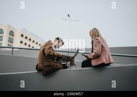 Business colleagues having a casual meeting outdoors with a cat Stock Photo