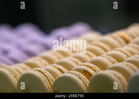 Rows of yellow and purple French macaron or macaroon cookies in a glass display case. The delicious sweet French confectionery pastries are pastel col Stock Photo