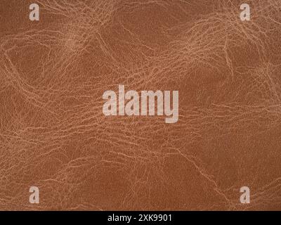 Red quality leather, natural material with design lines pattern. Stock Photo
