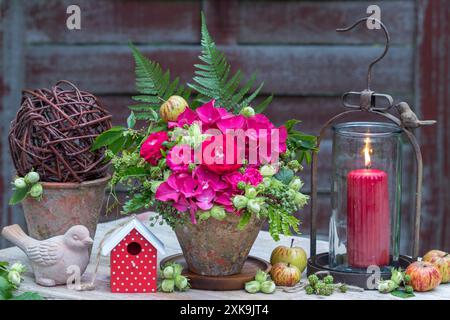 garden arrangement with flower arrangement with pink roses, hydrangea blossoms, hazelnuts, blackberries and leaves in a terracotta pot and vintage lan Stock Photo
