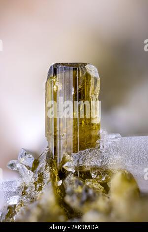 Epidote crystal Micro photography detail texture. Specimen from Peru. close-up polished semi-precious gemstone. Stock Photo