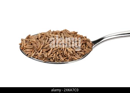 Single metal spoon with  dried caraway seed on white background close up Stock Photo