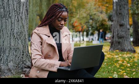 Young focused female student freelancer sitting in autumn park near tree working on laptop typing message checks email studying remote online distance Stock Photo