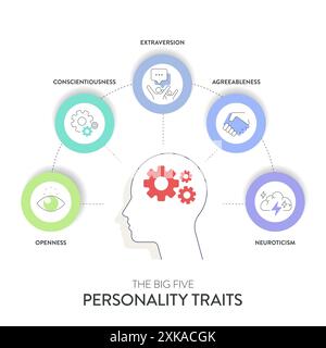 Big Five Personality Traits or OCEAN infographic has 4 types of personality, Agreeableness, Openness to Experience, Neuroticism, Conscientiousness and Stock Vector