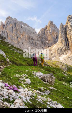 Tourists with backpacks go on a mountain hike on a sunny hiking day. Young people walk along a path in the Dolomites. Tourists in a mountain landscape Stock Photo