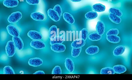 Colony of the Bordetella pertussis bacterium that causes pertussis, a whooping cough. 3D Illustration Stock Photo
