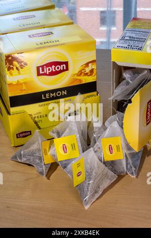 Still Life of Lipton Black Tea with Lemon Peels  in pyramid shaped teabags, 2024, USA Stock Photo