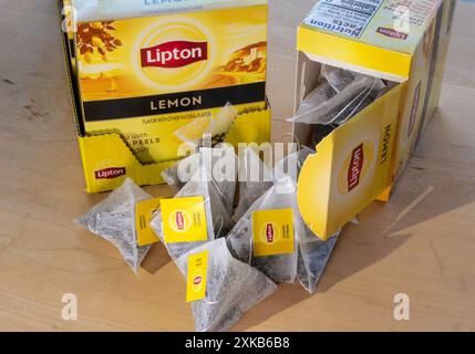 Still Life of Lipton Black Tea with Lemon Peels  in pyramid shaped teabags, 2024, USA Stock Photo