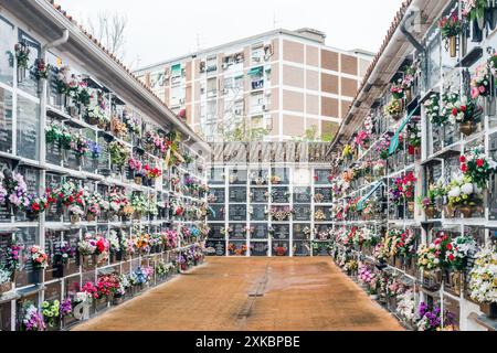 Colorful flowers adorn graves at Cemetery of San Rafael in Cordoba, Spain. Residential buildings are seen in the background, giving a sense of the urb Stock Photo