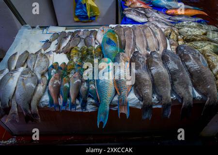 Fish, seafood, and lobsters, including exotic colorful fish from the ...