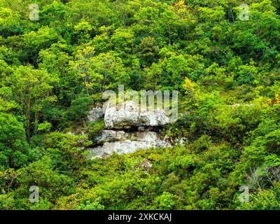 a rocky cave entrance among green bushes Stock Photo