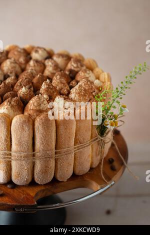 Tiramisu Cake. Beautifully decorated. Birthday cake. Stock Photo