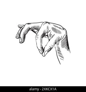 Human hand, fingers holding, squeezing. Hand drawn vector illustration in graphic style. For banners, posters, cards, labels, leaflets. Stock Vector