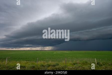 Thunderstorm over the prairie near Assiniboia, Saskatchewan, Canada Stock Photo