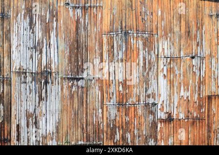 The bamboo wall background is made from the whole bamboo tree and is spread to create the walls of village houses because bamboo is a natural material Stock Photo