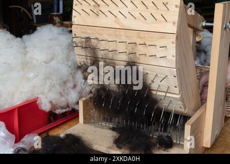 Raw wool from two sheep breeds is combed with a picker. Stock Photo