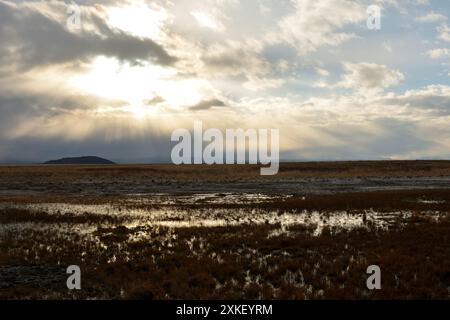 The rays of the setting sun, breaking through the thunderclouds, illuminate the water meadows in the endless steppe at the foot of the high mountains. Stock Photo