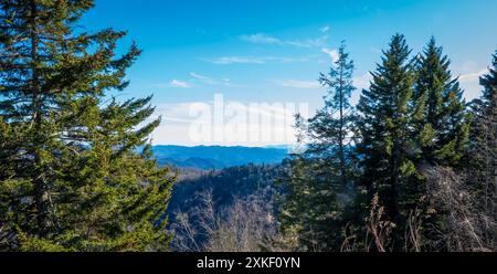 View of the Smokey Mountains in the distance, between evergreen trees, in late winter. Stock Photo