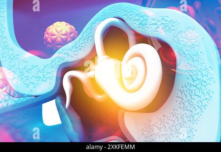 Close up view of inner ear, stapes. 3d illustration Stock Photo