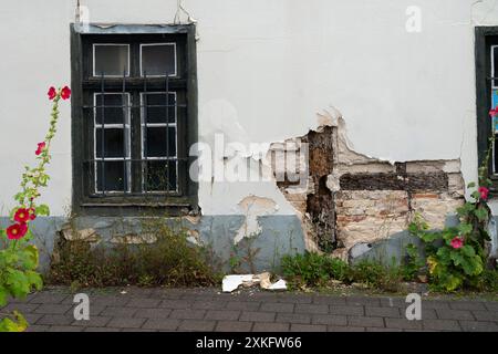 A photo of an old house wall with cracked paint and broken windows, flowers growing in the cracks, a white wooden window on one side, a brick path leading to it. Stock Photo