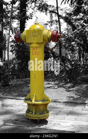 Yellow fire hydrant in Kuala Lumpur isolated on a black and white background. Stock Photo