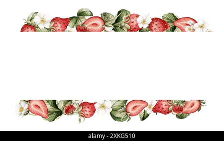 Strawberry, berries with white flowers and leaves, watercolor isolated illustration. Horizontal frame for cards, table textile, porcelain tableware, k Stock Photo