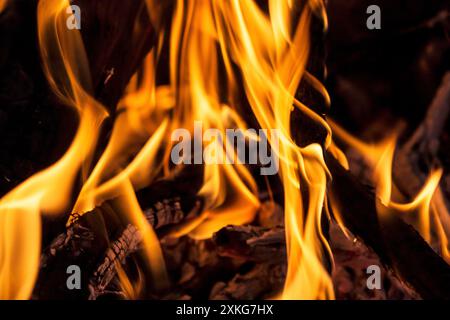 blazing flames, burning wood Stock Photo