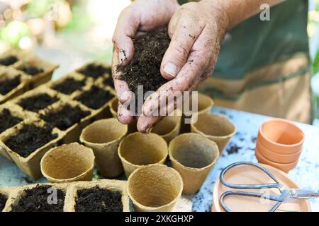 Close-up of gardener's hands preparing soil for planting seeds in biodegradable pots. Gardening tools and empty pots are arranged on the table. Stock Photo