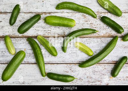 An assortment of freshly harvested cucumbers displayed on a rustic white wooden surface, showcasing the results of homegrown gardening. Stock Photo
