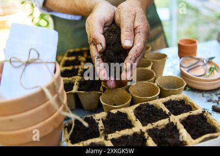 Hands of a gardener holding soil above starter pots ready for planting seeds. Preparation for home gardening and seed planting. Stock Photo