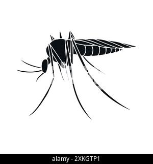 Vector hand drawn doodle sketch mosquito isolated on white background Stock Vector