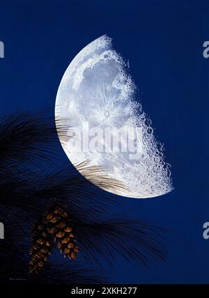 Art. Illustration. Moon in third quarter phase with pine cones. Stock Photo