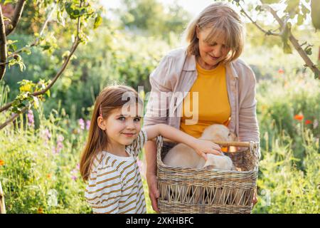 Smiling mature woman shows her granddaughter cute puppies in wicker basket. Little girl petting Labradors in garden. Grandmother and child take care o Stock Photo